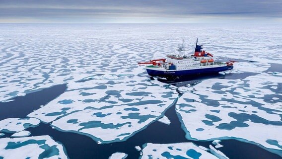 Auf dem Weg nach Norden ist das Meereis überraschend schwach, hat viele Schmelzteiche und Polarstern kann es leicht brechen. © AWI Foto: Steffen Graupner