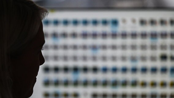 Eine Ermittlerin sitzt im Landeskriminalamt Hessen vor einem Monitor mit Fotodateien. © picture alliance/dpa Foto: Arne Dedert